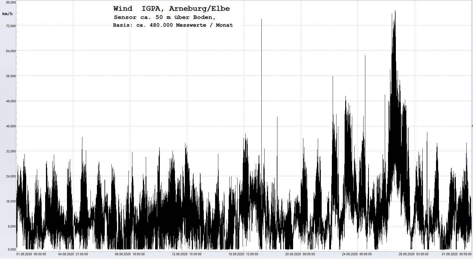 Arneburg Histogramm Winddaten Monat August 2020, 
  Sensor auf Gebude, ca. 50 m ber Erdboden, Basis: 5s-Aufzeichnung